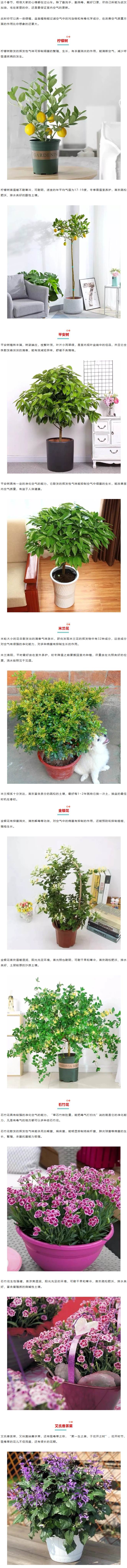 火狐截圖_2020-02-22T02-03-20.836Z.jpg