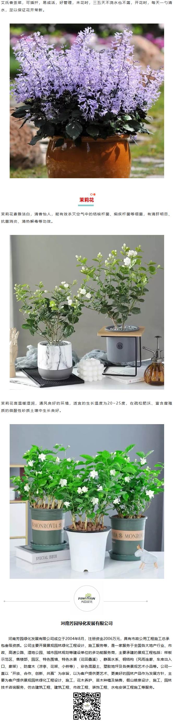 火狐截圖_2020-02-22T02-06-59.036Z.jpg
